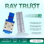 RAY TRƯỢT LRW12
