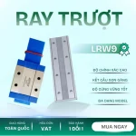 RAY TRƯỢT LRW9
