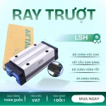 RAY TRƯỢT LSH