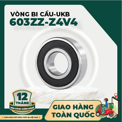 VÒNG BI CẦU (CHUYÊN DỤNG LẮP CHO ĐỘNG CƠ - CHỐNG RUNG CHỐNG ỒN, CHẠY ỔN ĐỊNH CHO ĐỘNG CƠ TỐC ĐỘ QUAY LỚN)