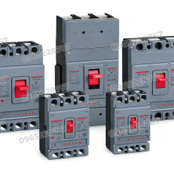 CDM3E Aptomat Vỏ Đúc Điện Tử Delixi Chính Hãng