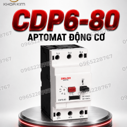 CDP6-80 aptomat động cơ